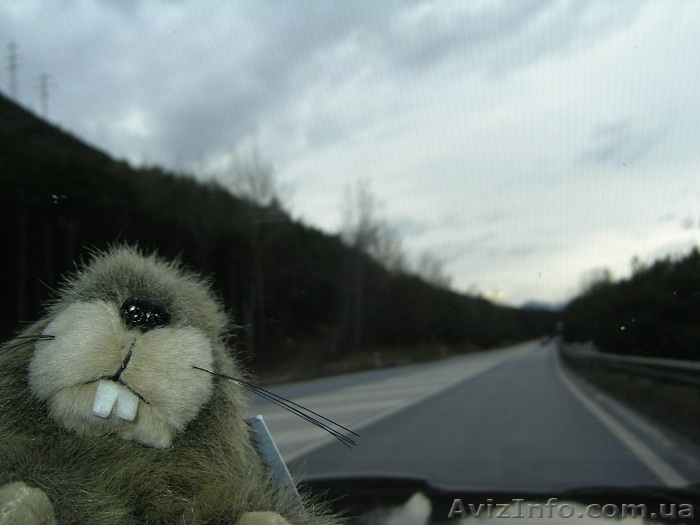 Бесплатные уроки англ., франц., итал. языков - <ro>Изображение</ro><ru>Изображение</ru> #1, <ru>Объявление</ru> #469478