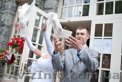 Голуби на свадьбу. - <ro>Изображение</ro><ru>Изображение</ru> #1, <ru>Объявление</ru> #556245