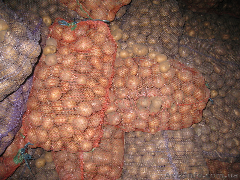 Лузан Сергей Григорьевич - <ro>Изображение</ro><ru>Изображение</ru> #1, <ru>Объявление</ru> #520288