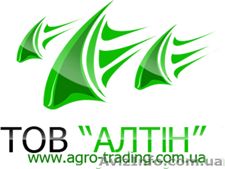 Закупаем кукурузу оптом - <ro>Изображение</ro><ru>Изображение</ru> #1, <ru>Объявление</ru> #739433