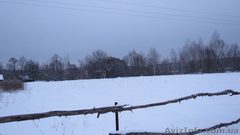   ПРОДАМ УЧАСТОК с. ПАТРИОТОВКА 36соток   - <ro>Изображение</ro><ru>Изображение</ru> #1, <ru>Объявление</ru> #833089