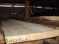 Доска столярная ДУБ, ЯСЕНЬ, СОСНА, ОЛЬХА, ЛИПА - <ro>Изображение</ro><ru>Изображение</ru> #1, <ru>Объявление</ru> #1004367