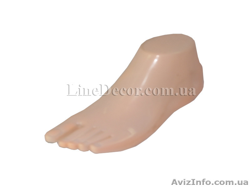 манекен женский ступня без подошвы  - <ro>Изображение</ro><ru>Изображение</ru> #1, <ru>Объявление</ru> #1083797