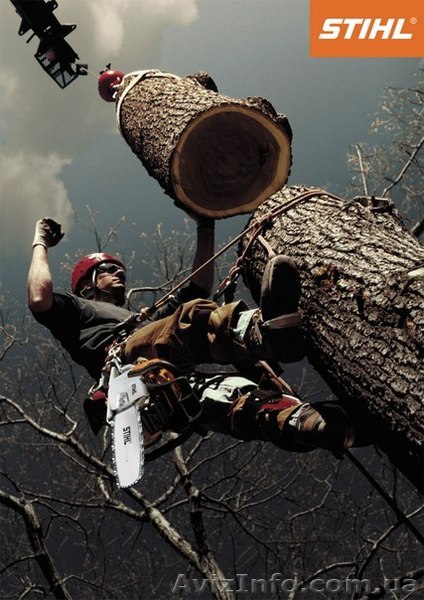 валка дерев 0957004384 - <ro>Изображение</ro><ru>Изображение</ru> #1, <ru>Объявление</ru> #1102374