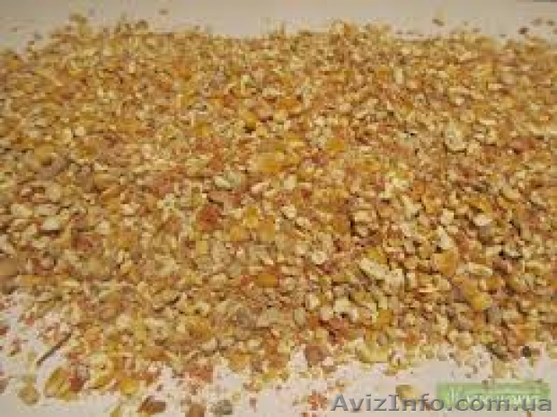 Куплю зерноотходы пшеницы, кукурузы, сои, ячменя - <ro>Изображение</ro><ru>Изображение</ru> #1, <ru>Объявление</ru> #1115815