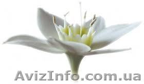 МАССАЖ  Reconnective Healing® Сеансы БЕСПЛАТНО. Тест-группа. - <ro>Изображение</ro><ru>Изображение</ru> #1, <ru>Объявление</ru> #1133534