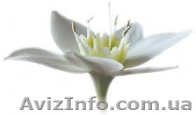 Энергетический массаж Reconnective Healing ® - <ro>Изображение</ro><ru>Изображение</ru> #1, <ru>Объявление</ru> #1130539