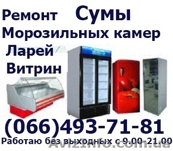 Ремонт морозильных камер Сумы. Ремонт морозильной камеры в Сумах на дому. Холоди - Изображение #1, Объявление #1195624