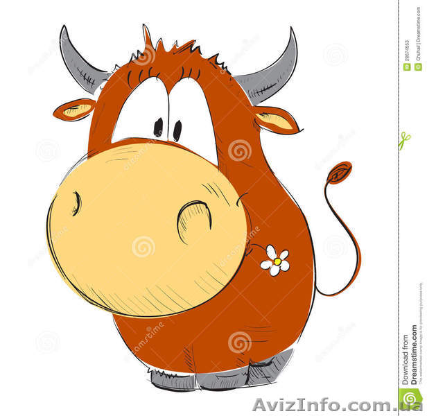 Куплю крс, коней                                                       - <ro>Изображение</ro><ru>Изображение</ru> #1, <ru>Объявление</ru> #1191410