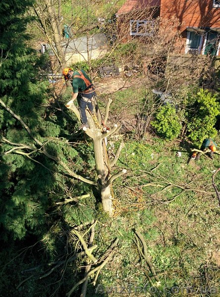 АльпСервис "НА ВЫСОТЕ" - <ro>Изображение</ro><ru>Изображение</ru> #1, <ru>Объявление</ru> #1211010