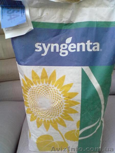 Семена подсолнечника Syngenta (Сингента) Брио, Рокки, Неома - <ro>Изображение</ro><ru>Изображение</ru> #1, <ru>Объявление</ru> #1365309