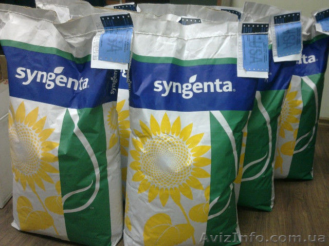 Семена подсолнечника Syngenta (Сингента) Санлука РМ. Оригинал 100% - <ro>Изображение</ro><ru>Изображение</ru> #1, <ru>Объявление</ru> #1369786