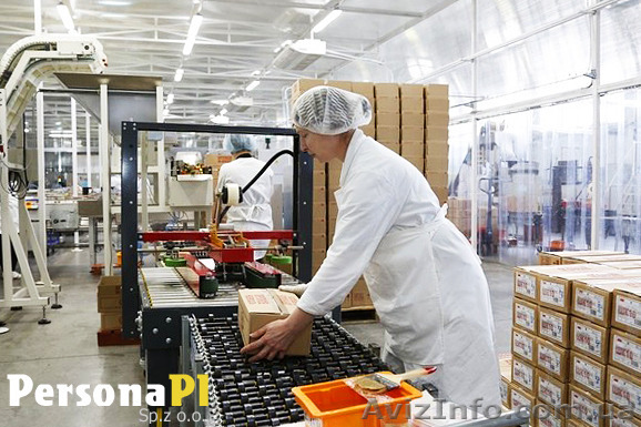 Трудоустройство на кондитерской фабрике в Польше - <ro>Изображение</ro><ru>Изображение</ru> #1, <ru>Объявление</ru> #1487278