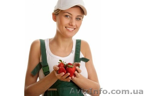 Легальная работа в Финляндии - <ro>Изображение</ro><ru>Изображение</ru> #1, <ru>Объявление</ru> #1534319