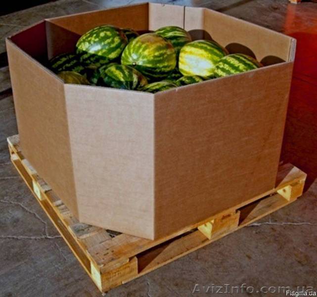 Октабин Крупногабаритная тара - <ro>Изображение</ro><ru>Изображение</ru> #1, <ru>Объявление</ru> #1542725