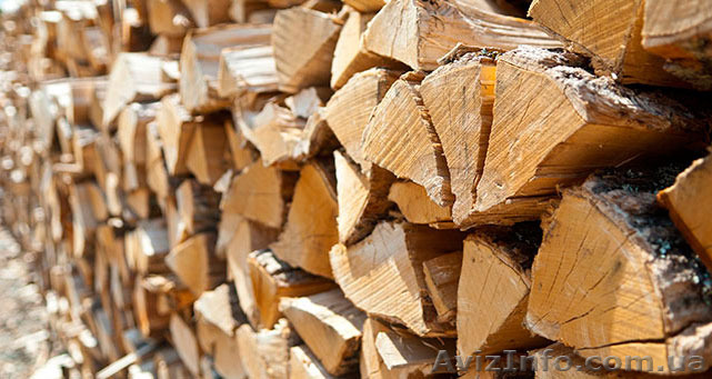 Продам колотые дрова - <ro>Изображение</ro><ru>Изображение</ru> #1, <ru>Объявление</ru> #1586668