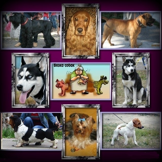 Предлагаем для вязки - <ro>Изображение</ro><ru>Изображение</ru> #1, <ru>Объявление</ru> #1145907