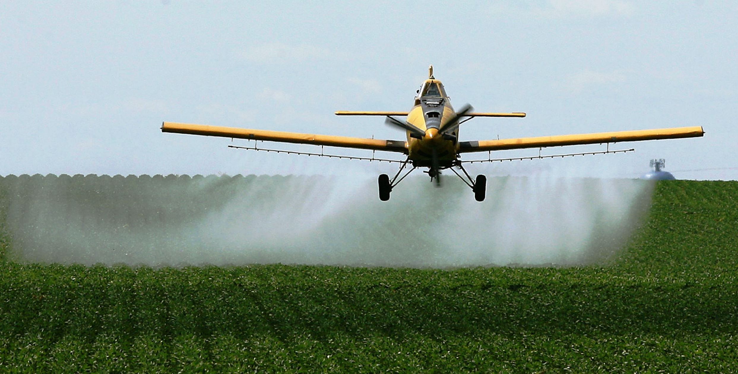 Услуги десикации сои самолетом Бекас Нарп Чмелак - <ro>Изображение</ro><ru>Изображение</ru> #1, <ru>Объявление</ru> #1738706