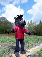 ростовые куклы   - <ro>Изображение</ro><ru>Изображение</ru> #9, <ru>Объявление</ru> #224638