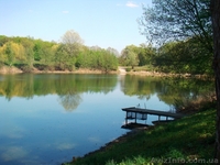 База отдыха Сумской р-н - <ro>Изображение</ro><ru>Изображение</ru> #2, <ru>Объявление</ru> #28588