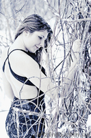 Фотограф Сергей Козолуп - <ro>Изображение</ro><ru>Изображение</ru> #2, <ru>Объявление</ru> #136464