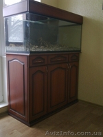 Продам Аквариум, Сумы - <ro>Изображение</ro><ru>Изображение</ru> #1, <ru>Объявление</ru> #152738