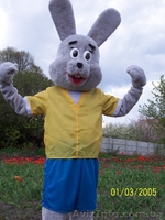 ростовые куклы   - <ro>Изображение</ro><ru>Изображение</ru> #8, <ru>Объявление</ru> #224638