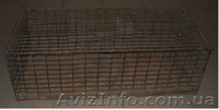 Клетка для транспортировки и торговли птицей - <ro>Изображение</ro><ru>Изображение</ru> #1, <ru>Объявление</ru> #513916