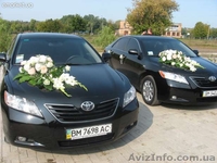 Студия свадеб и торжеств - <ro>Изображение</ro><ru>Изображение</ru> #6, <ru>Объявление</ru> #680129