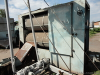 Немецкая семенная линия! - <ro>Изображение</ro><ru>Изображение</ru> #1, <ru>Объявление</ru> #681395