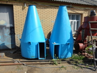 Немецкая семенная линия! - <ro>Изображение</ro><ru>Изображение</ru> #4, <ru>Объявление</ru> #681395