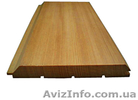 Лиственница сибирская Сумы Украина - <ro>Изображение</ro><ru>Изображение</ru> #5, <ru>Объявление</ru> #153150