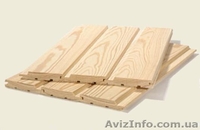 Лиственница сибирская Сумы Украина - <ro>Изображение</ro><ru>Изображение</ru> #6, <ru>Объявление</ru> #153150