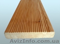 Лиственница сибирская Сумы Украина - <ro>Изображение</ro><ru>Изображение</ru> #3, <ru>Объявление</ru> #153150