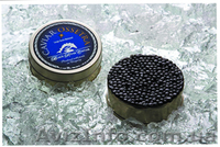 Черная осетровая (осетра) икра - <ro>Изображение</ro><ru>Изображение</ru> #5, <ru>Объявление</ru> #741028