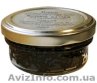 Черная осетровая (осетра) икра - <ro>Изображение</ro><ru>Изображение</ru> #1, <ru>Объявление</ru> #741028