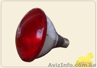 Предлагаем зооветеринарный инструментарий и оборудование для ферм  - <ro>Изображение</ro><ru>Изображение</ru> #2, <ru>Объявление</ru> #785332