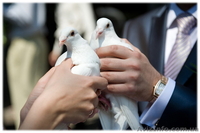 Выездная церемония бракоочетания  - <ro>Изображение</ro><ru>Изображение</ru> #6, <ru>Объявление</ru> #563033