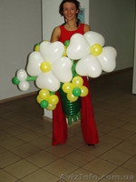 курсы аэродизайна и флористики - <ro>Изображение</ro><ru>Изображение</ru> #3, <ru>Объявление</ru> #881307