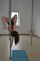 Пол-денс г.Сумы - <ro>Изображение</ro><ru>Изображение</ru> #5, <ru>Объявление</ru> #902710