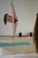 Пол-денс г.Сумы - <ro>Изображение</ro><ru>Изображение</ru> #3, <ru>Объявление</ru> #902710