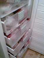 НЕДОРОГО - НАТУРАЛЬНЫЙ СЫРОЙ ГОВЯЖИЙ КОРМ ПО 10 ГРН. ЗА КГ - <ro>Изображение</ro><ru>Изображение</ru> #3, <ru>Объявление</ru> #927240