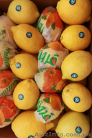 Фрукты из Египта - <ro>Изображение</ro><ru>Изображение</ru> #2, <ru>Объявление</ru> #986419