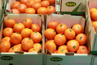 Фрукты из Египта - <ro>Изображение</ro><ru>Изображение</ru> #3, <ru>Объявление</ru> #986419