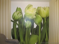 Wi-FI. Центр.'Лавина' .,ЛЮКС - <ro>Изображение</ro><ru>Изображение</ru> #4, <ru>Объявление</ru> #1070954