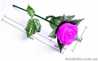 Светящаяся роза ночник, светящаяся роза купить, светящиеся цветы, Киев - <ro>Изображение</ro><ru>Изображение</ru> #1, <ru>Объявление</ru> #1288680
