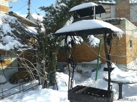 Баня,с легким паром. - <ro>Изображение</ro><ru>Изображение</ru> #3, <ru>Объявление</ru> #1530424