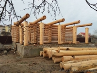 Срочно продам дом-сруб из дикого бревна! - <ro>Изображение</ro><ru>Изображение</ru> #2, <ru>Объявление</ru> #1599780