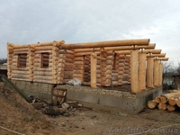 Срочно продам дом-сруб из дикого бревна! - <ro>Изображение</ro><ru>Изображение</ru> #5, <ru>Объявление</ru> #1599780