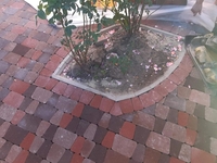 Тротуарная плитка "Римский камень" серая 40 - 60мм. - <ro>Изображение</ro><ru>Изображение</ru> #1, <ru>Объявление</ru> #1708792